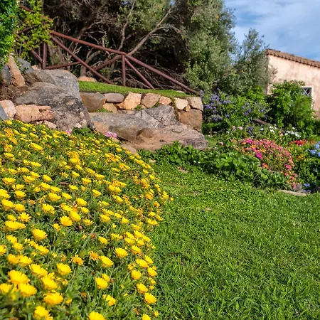 Patty With Infinity Pool In Front Of The Sea, Parking And Wifi *